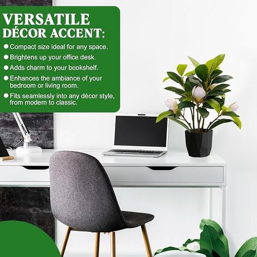 美国 LIVN GREEN 小型仿生植物装饰 优雅摆件 高40cm 商品图2