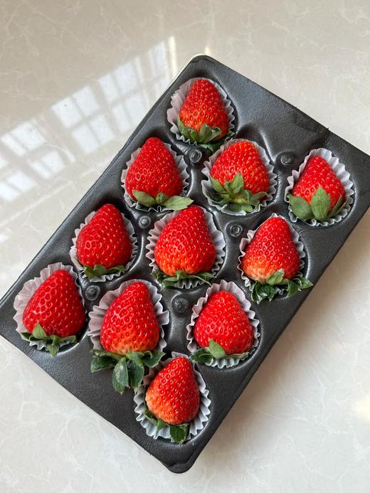 红颜草莓11个/300g+ 商品图0