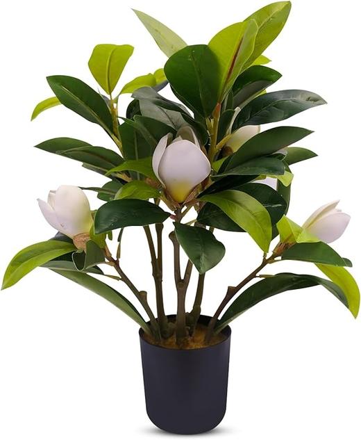 美国 LIVN GREEN 小型仿生植物装饰 优雅摆件 高40cm 商品图0