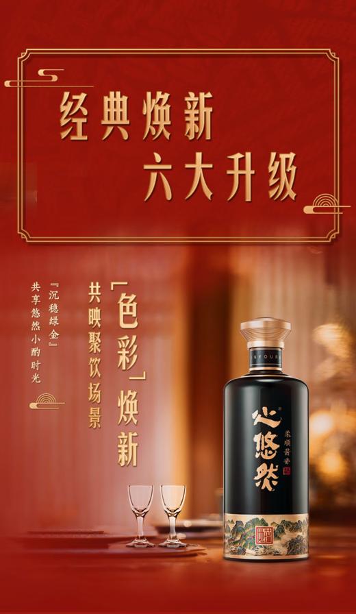 小糊涂仙悠然地蕴53度 500ml/瓶 【NB】 商品图4