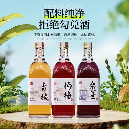 [果酒]久林宜枫果酒(发酵酒)8度500ml(青梅/杨梅/桑葚) 商品图4