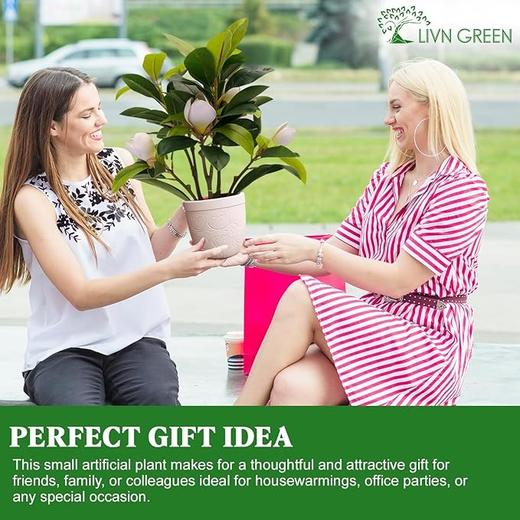 美国 LIVN GREEN 小型仿生植物装饰 优雅摆件 高40cm 商品图5