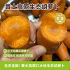 YXG黄土高原红土地生态胡萝卜精品果 （40—200g） 4.5斤/箱 商品缩略图0