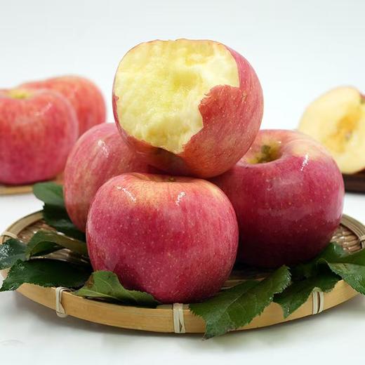 陕西有机红富士苹果 商品图3