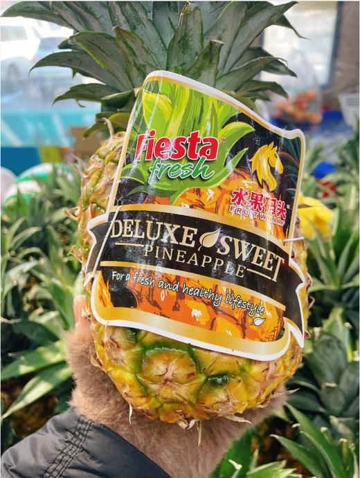 水果码头凤梨一个 商品图0