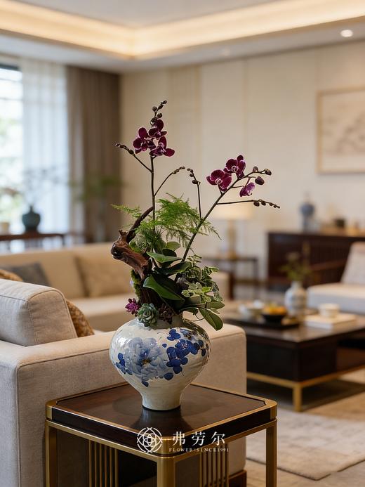 心想事成-青花瓷盆蝴蝶兰 商品图0