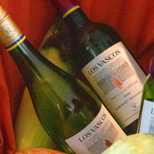 (测试勿拍)拉菲罗斯柴尔德巴斯克有格系列干红干白组合装 商品图4