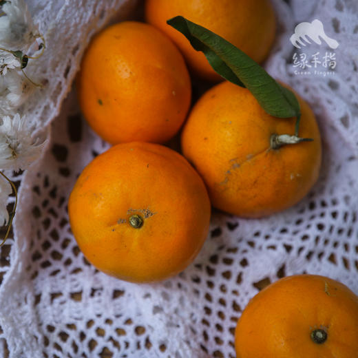 生态沃柑/砂糖橘 | 合作生产 * Ecological Orah | Partner Production 商品图2