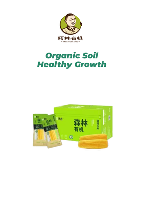 黑龙江有机糯玉米