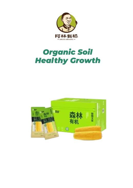 黑龙江有机糯玉米 商品图0