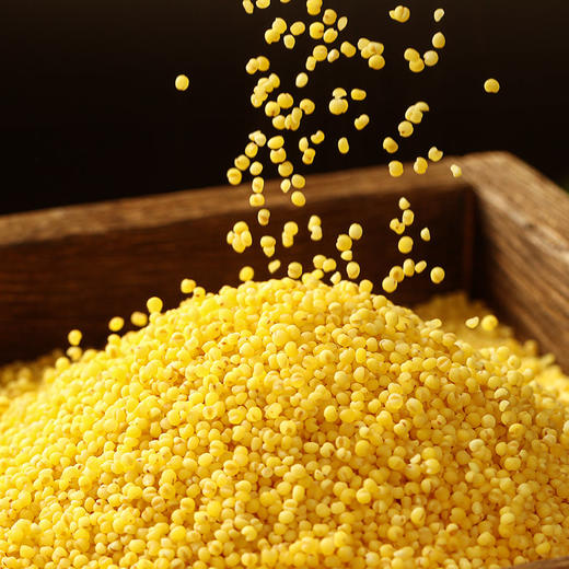 燕之坊  四珍黄小米礼盒1.92kg  品质好米 金黄透亮  口感香甜 48小时发货 商品图1