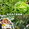 生态丰产蔬菜箱(冬季，一件包邮）| 绿家自产*ecological eafy vegetables | Self-production 商品缩略图0