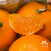 生态沃柑/砂糖橘 | 合作生产 * Ecological Orah | Partner Production 商品缩略图4
