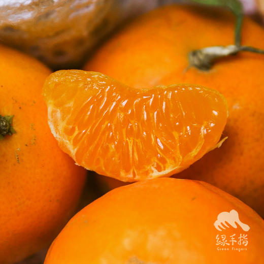 生态沃柑/砂糖橘 | 合作生产 * Ecological Orah | Partner Production 商品图4