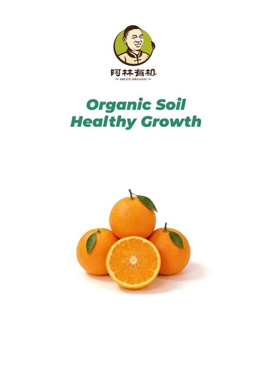 有机赣南脐橙5kg 商品图0