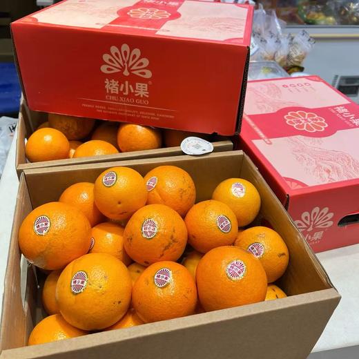 褚小果冰糖橙 礼盒装  橙子 商品图0