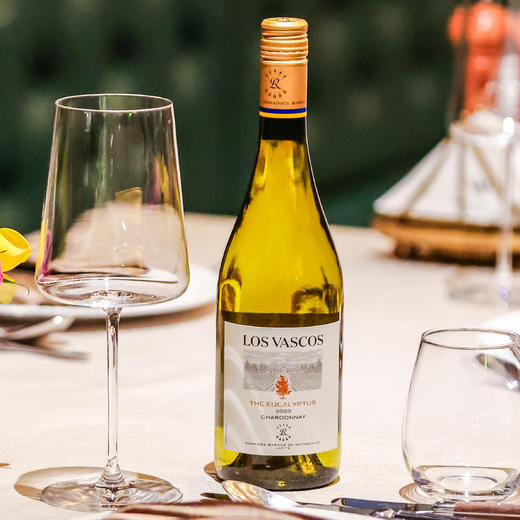 (测试勿拍)拉菲罗斯柴尔德巴斯克有格系列干红干白组合装 商品图3