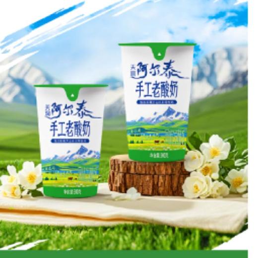天润 阿尔泰手工酸奶300g 商品图3