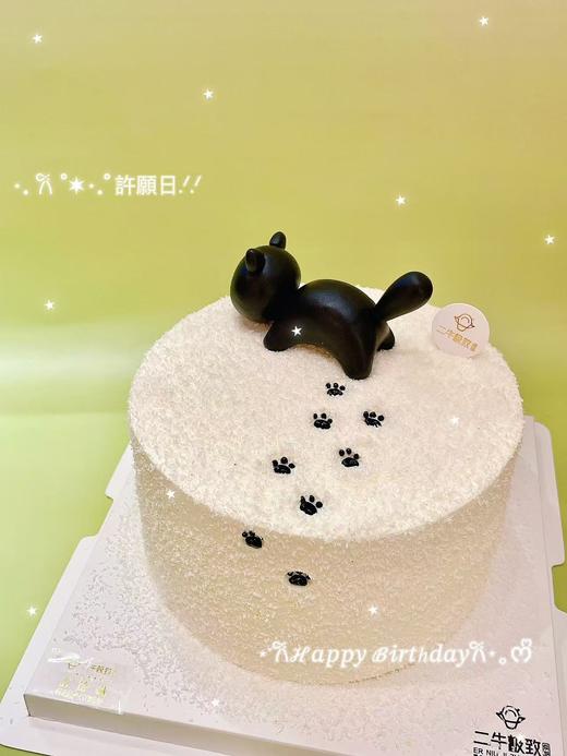 雪地里的小黑猫 商品图2