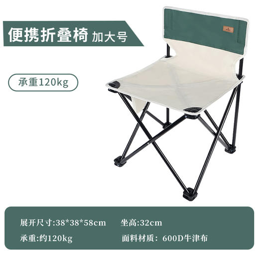 飞图乐（FTLY）青春绿风加折叠椅-加大号 ZDY0102 LP 商品图2