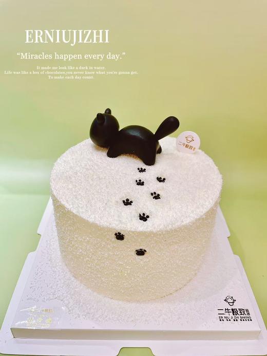 雪地里的小黑猫 商品图0