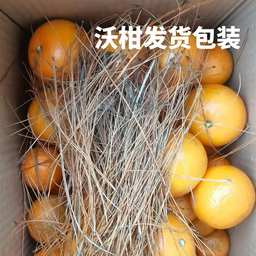 生态沃柑/砂糖橘 | 合作生产 * Ecological Orah | Partner Production 商品图5