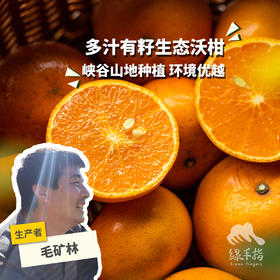 生态沃柑/砂糖橘 | 合作生产 * Ecological Orah | Partner Production