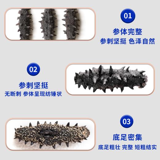 严选 | 冠参岛淡干海参 30根礼盒装 金色礼袋 约4cm/根 商品图2