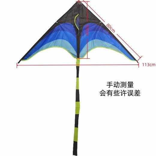 三角风筝 休闲户外运动玩具  老少皆宜的消遣游戏 适合户外踏青野营公园放飞 商品图4