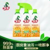 【福利赠品】水卫士厨房重油污净480g*3瓶 商品缩略图0