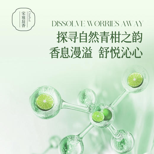 宋雅辰香青柑悦醒滚珠精油10ml 商品图4