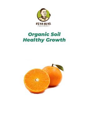 四川爱媛38有机果冻橙