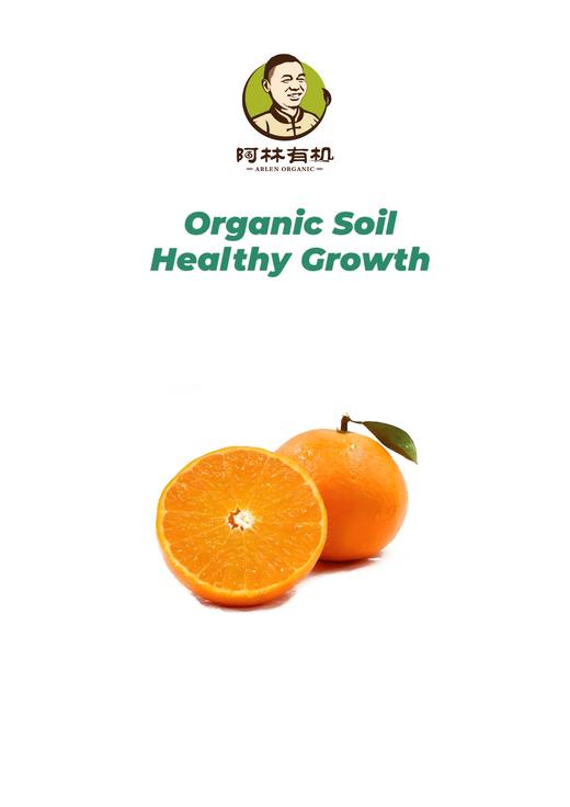 四川爱媛38有机果冻橙 商品图0