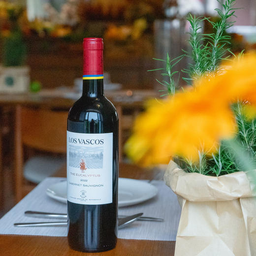 (测试勿拍)拉菲珍藏佳娜红葡萄酒3瓶、拉菲巴斯克有格赤霞珠红葡萄酒3瓶组合装 商品图7