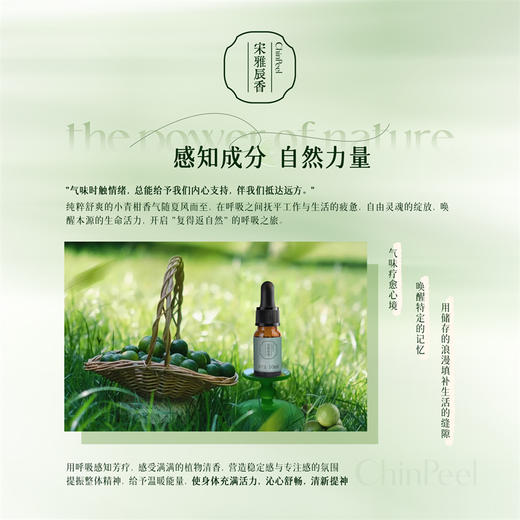 宋雅辰香清新提神香薰精油10ml 商品图5