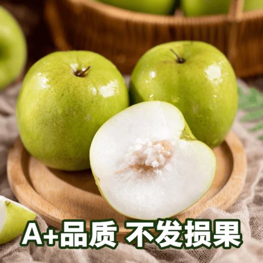 【西双版纳苹果枣】自然树熟 清香脆爽 甜蜜多汁 新鲜美味 4种规格任选 商品图9