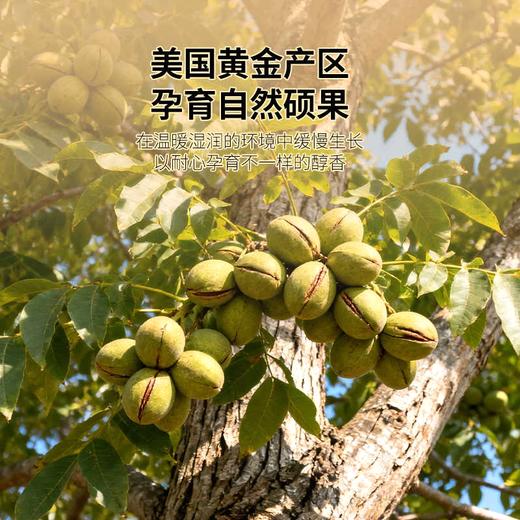 佰斯纳特碧根果仁200g/150681 罐装无壳坚果零食小吃 商品图2