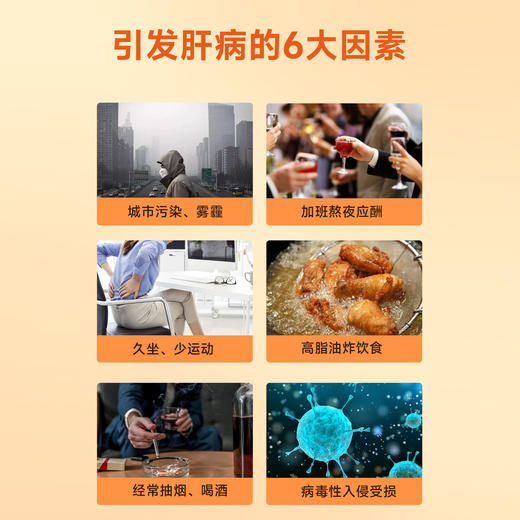 中北态 牛肝肽复合蛋白固体饮料240克（10克/条×24条） 商品图1