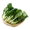 放心嫩嫩菜(奶白菜) 200g/袋 叶菜 商品缩略图2