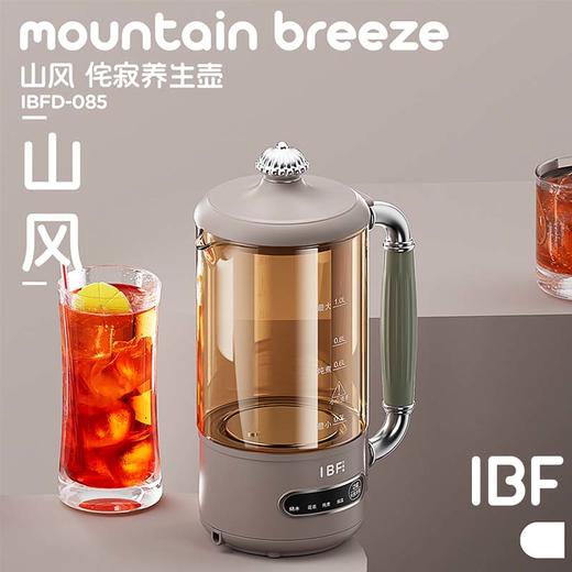 【IBF艾博菲】山风侘寂养生壶IBFD-085【粤湾】 商品图4