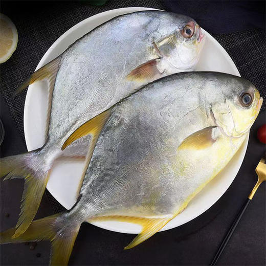 味尔佳-金鲳鱼550-650g/条 商品图3