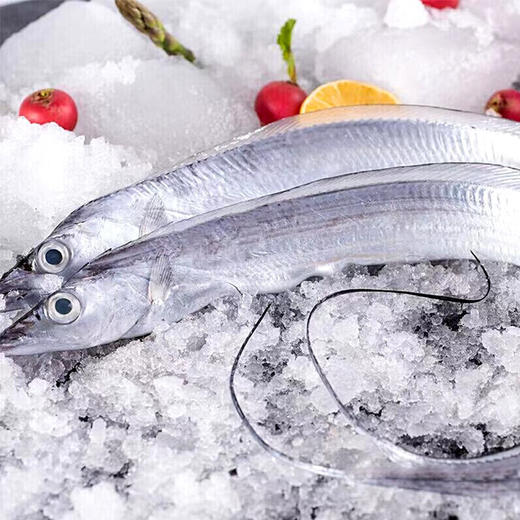 【R26SHY3】新春福利套餐组合十三（生鲜冻品收到货后请及时放入冰箱储存， 如在运输过程中有解冻属正常现象，并不影响品质，请放心食用） 商品图1