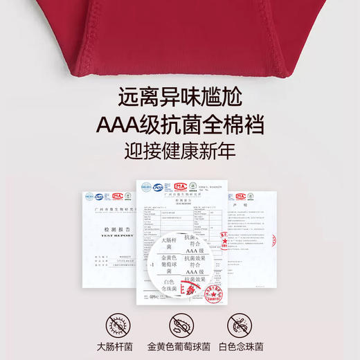 好奇蜜斯本命年红色内裤蕾丝无痕性感低腰纯棉裆2026马年新娘结婚-4条组合 商品图4