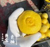 黄金贡柚|有机种植|果肉饱满 果汁丰盈 个大饱满 肉嫩多汁 商品缩略图1