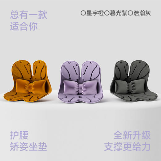 D-yoyorelax Air-护腰坐垫久坐神器 商品图4