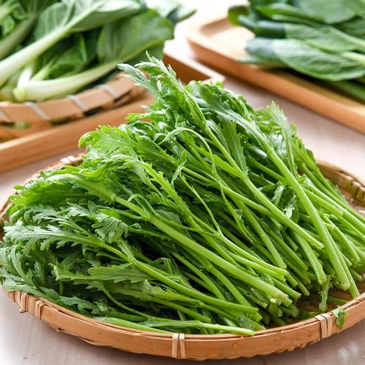 放心嫩嫩菜(茼蒿) 200g/袋  叶菜 商品图0