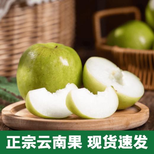 【西双版纳苹果枣】自然树熟 清香脆爽 甜蜜多汁 新鲜美味 4种规格任选 商品图2