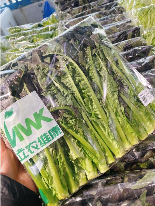 笋尖一袋 商品图0