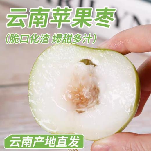 【西双版纳苹果枣】自然树熟 清香脆爽 甜蜜多汁 新鲜美味 4种规格任选 商品图7