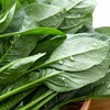 放心嫩嫩菜(菠菜) 200g/袋 商品缩略图2